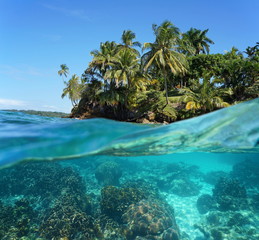 Tropical island with corals underwater