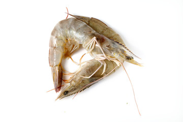 Fresh shrimp in thailand on a white background.