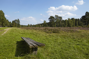 Lüneburger Heide - Heidelandschaft in der Nähe von Egestorf