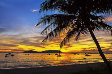 Obraz na płótnie Canvas Sunrise morning coconut