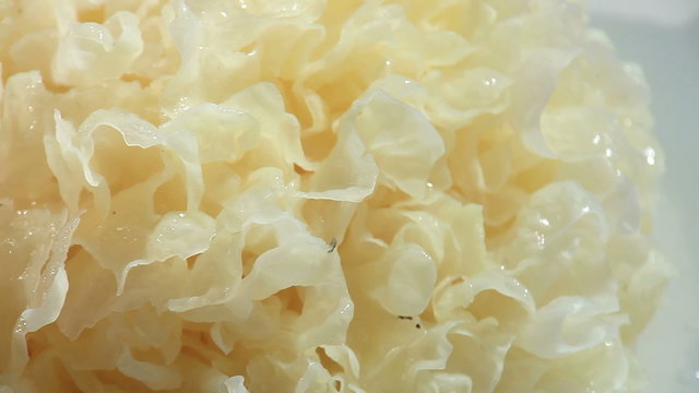 tremella,White fungus,