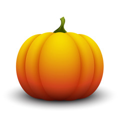Pumpkin isolated on white background