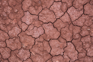 cracked earth