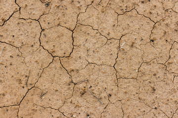 dried and cracked ground surface