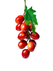 Fake grape on white background