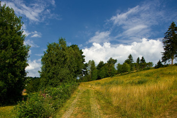 The path that leads through the romantic landscape.