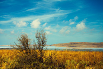 Fototapeta premium Beautiful desert landscape with lake