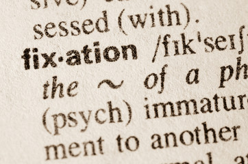 Dictionary definition of word fixation