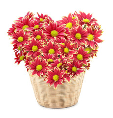 Heart-shaped flowers isolated