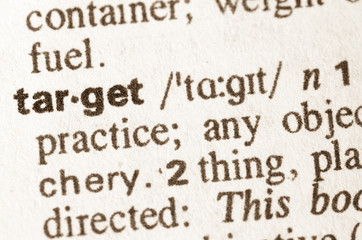 Dictionary definition of  word target