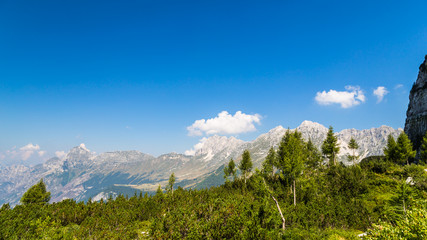 mountain peak in a summer day