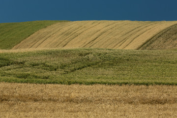 Murgia, paesaggio italiano, Puglia