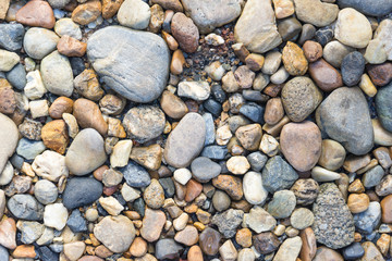 Stone Background 1