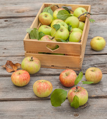 Naklejka na ściany i meble Fresh apples in box on wooden table
