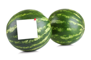 Watermelon on a white background