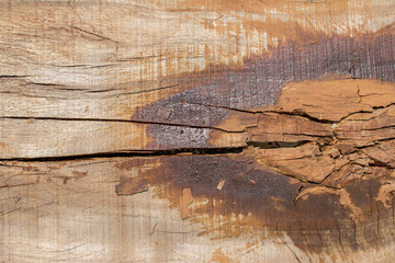 Naklejka premium wood background