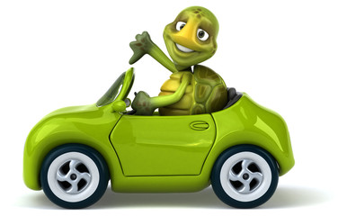 Fun turtle