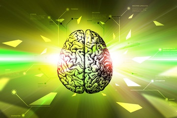 Digital brain in color background