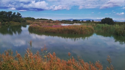 Reserva natural del Prat del llobregat. Barcelona