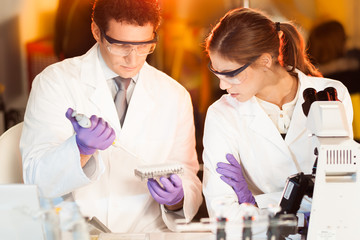 Life scientist researching in the laboratory.