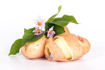 pinstripe skins peeled potatoes and flower isolated on white background