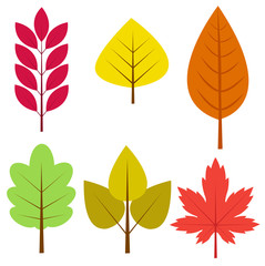 Autumn leaves vector illustration