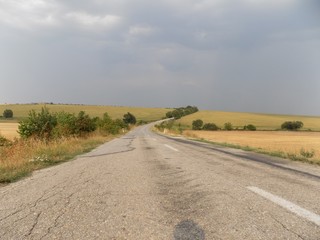 Asphalt road between fields