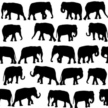 Black elephants seamless pattern