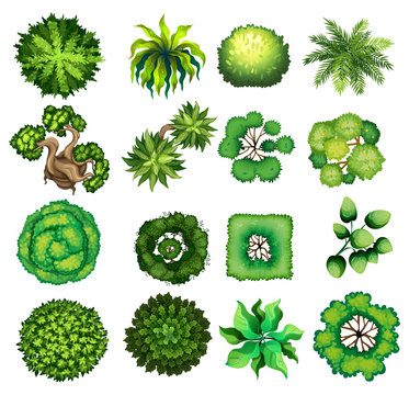 Top view of different kind of plants