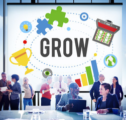 Grow Acheievment Success Development Goals Concept