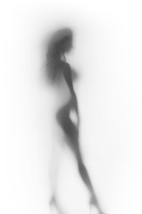 Sexy woman body silhouette - obrazy, fototapety, plakaty