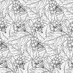 Seamless vector pattern with hand drawn guelder rose branches