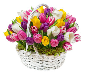 bouquet of tulips in a basket