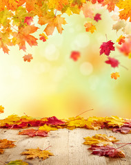 autumn background