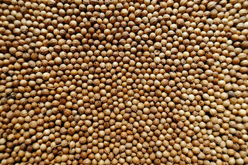 closeup background of pepper seeds.