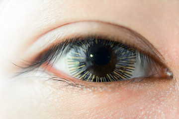 Close up of woman eye wearing fancy contact lens