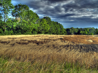 Gewitteraufzug &uuml;berm Getreidefeld