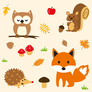 Tiere im Wald