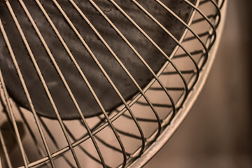 Fan Closeup