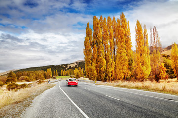 Autumn landscape, New Zealand