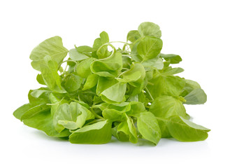 spinach on white background