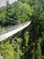 pont