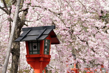 平野神社