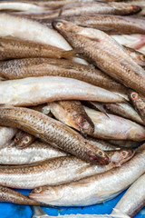 fish in the market