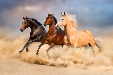 Fotobehang Paardenrennen © callipso88