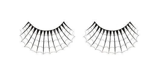 False eyelashes isolated on white 