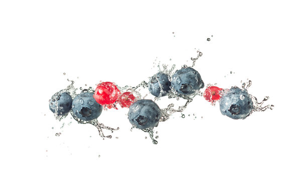 Mirtilli e ribes rosso con spruzzi d'acqua,
isolati su fondo bianco