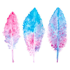 Elegant vector background with watercolor drawing feathers.