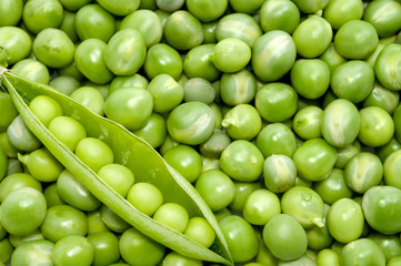 Fresh green pea pod on peas background