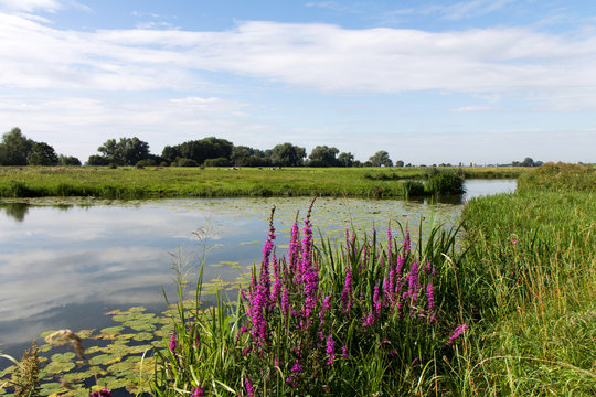 Uiterwaarden 